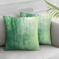 thumbnail image 3 of nygtbtfer  Sage Green Decorative Pillow Covers  Set of 2 Modern Aesthetic Abstract Velvet Couch Throw Pillow Cover Standard Square Accent Farmhouse Pillow Cases for Sofa Living Room White, 3 of 7
