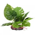 thumbnail image 1 of Non- Vivid Shape High Simulation Artificial Water Plant, Aquarium Artificial Water Plant, For Fish Tanks, 1 of 8