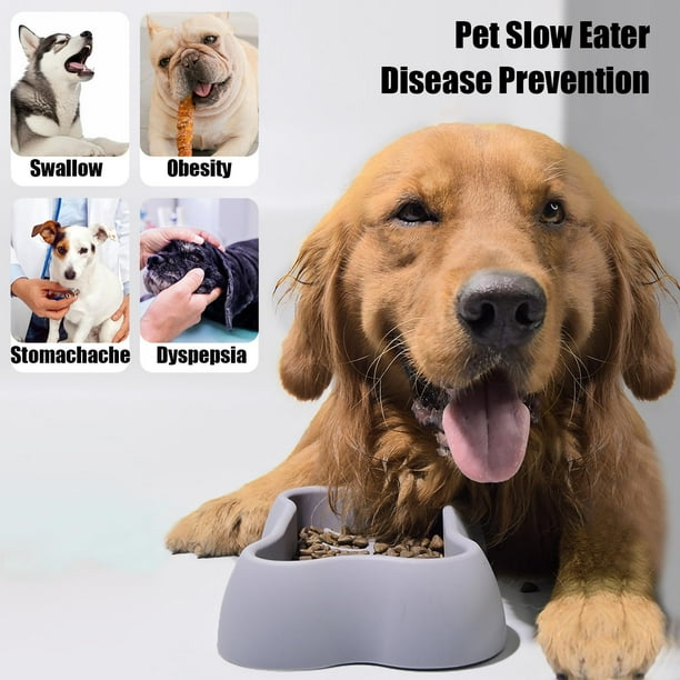 Silicone Slow Feeder Dog Food Dish for Fast Eaters Pet Slow Food Bowl Puzzle Bowl for Small Dogs and Cats Dog Bowls to Slow Down Eating Grey Walmart