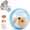 Blue B, variant on Self Rolling Interactive Cat Ball Toy with Realistic Mouse Inside, Automatic Moving 360° Rolling Cat Toy for Indoor Cats, Kittens & Small Dogs,Purple C