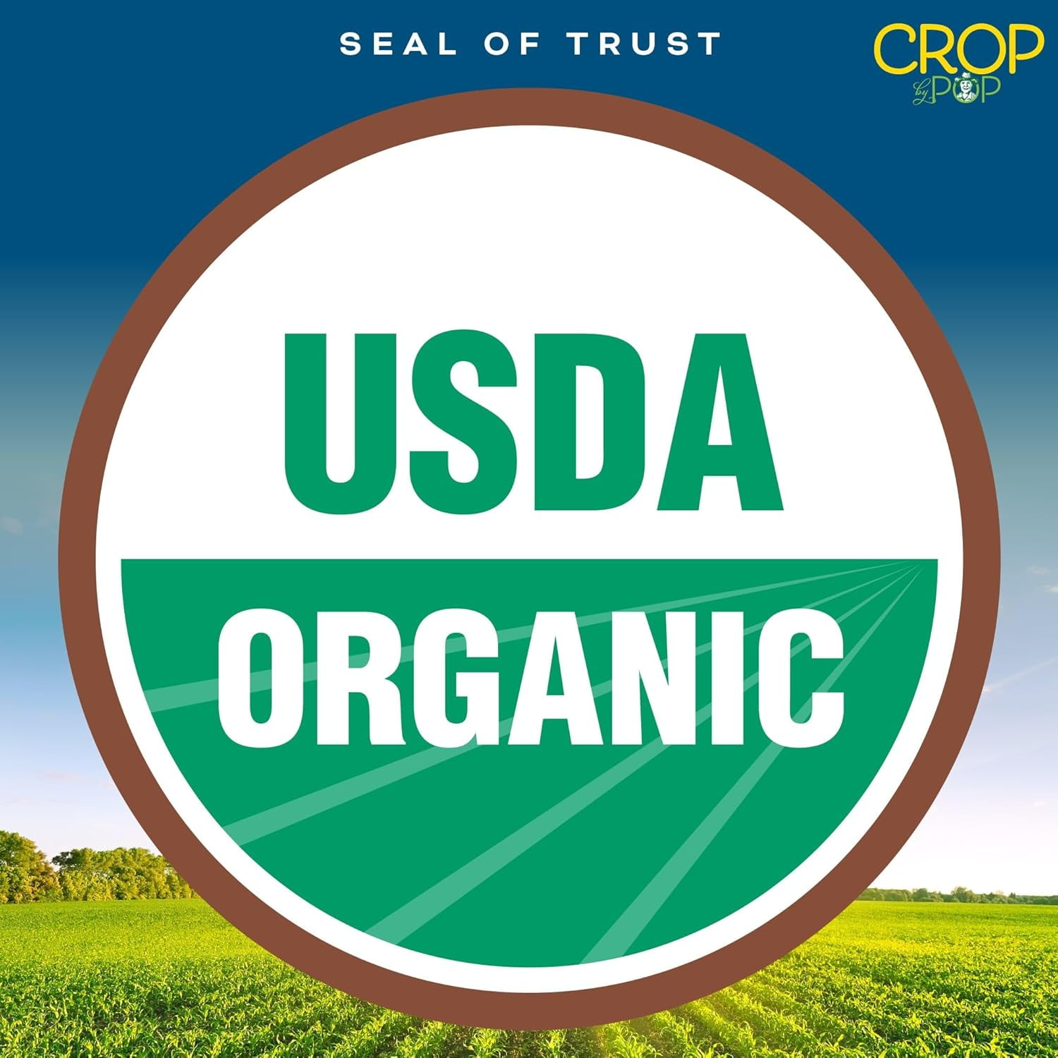CROP BY POP Organic Roasted Brazil Nuts, Unsalted, 32 oz Resealable Bag, USDA Organic, Non-GMO, Vegan, Kosher