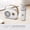 white with 1 mic, variant on Karaoke Wireless Portable Bluetooth Speaker With Microphone Radio FM Machine Mini Music Sound Box Caixa De Som Small Mp3 Column