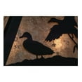 thumbnail image 2 of Meyda 152902 16 in. Square Ducks in Flight Pendant, Black & Silver Mica, 2 of 7