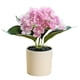 thumbnail image 1 of Simulación de hortensia, bonsái, flor de seda, planta verde artificial, decoración interior, planta artificial en maceta, 1 of 5