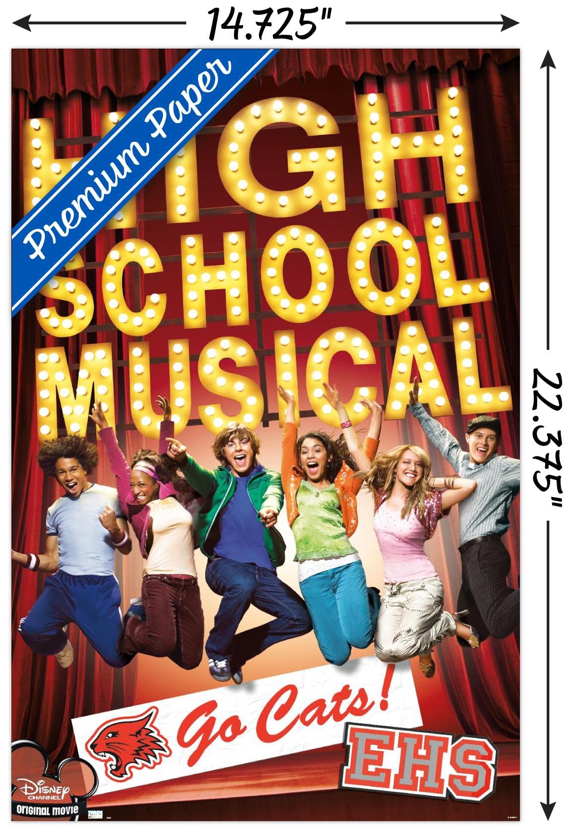 High School Musical - Go Cats! Wall Poster, 14.725" x 22.375"