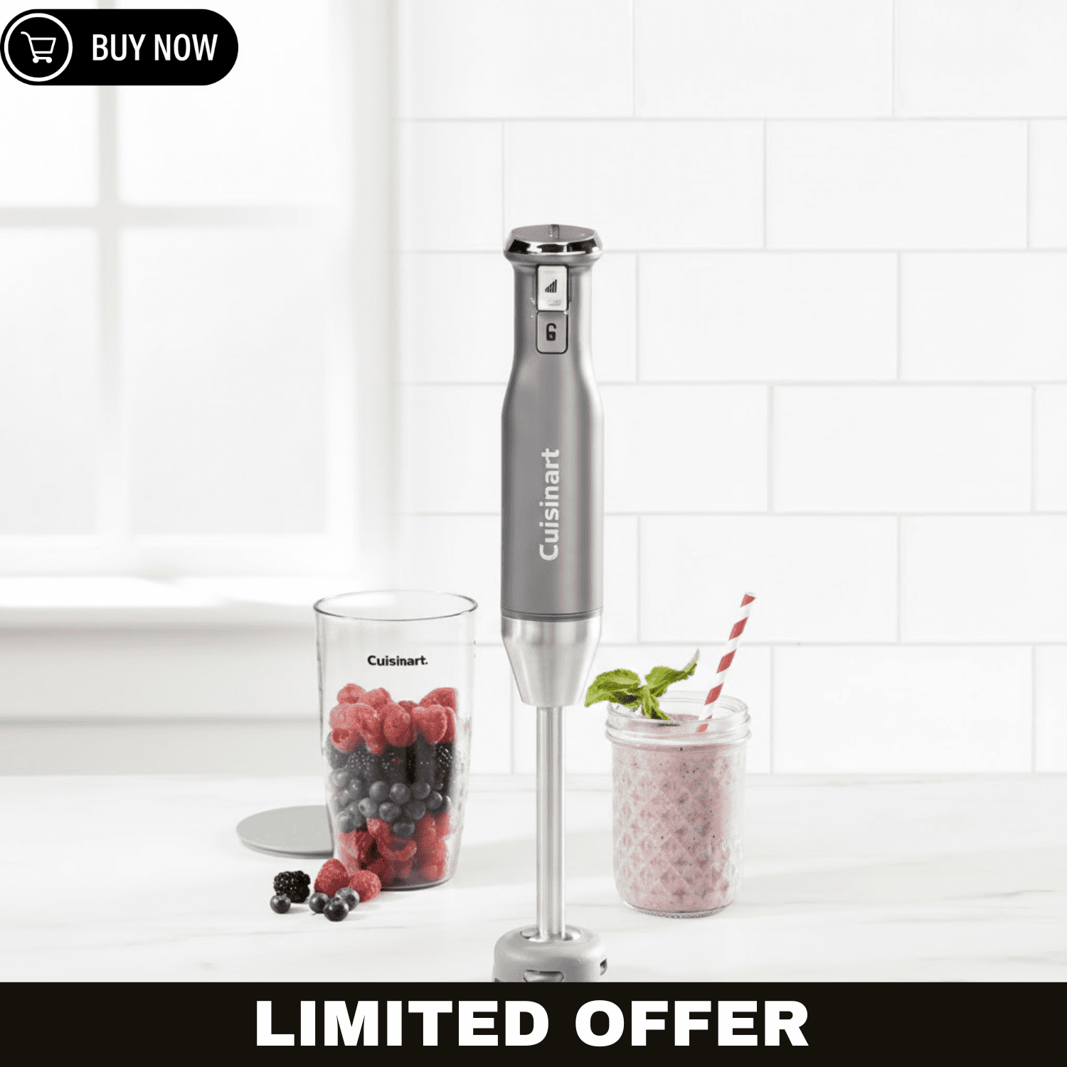 Cuisinart Blender 12-Cup Food Processor, Chrome - Walmart.com
