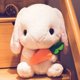 thumbnail image 4 of Conejo de peluche Kawaii de 22-43cm para niños, muñeco suave con cojín, almohada, regalos de cumpleaños, 4 of 5