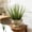 Green#644, variant on Artificial Green Grass Plants 6 Pack – Tall Faux Plastic Grass Stems for Vases, Indoor Outdoor Home Decor, Landscaping, DIY Crafts and Floral Arrangements