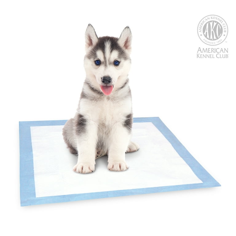 Akc ultra absorbent training pads hotsell