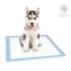 American Kennel Club Lavender Scented Training Pads, 22"X22", 200 ct