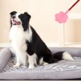 thumbnail image 3 of Waroomhouse Soft Rubber Pat for Gentle Training Dog Stick Effective Stop Barking Deter Behavior Trainer Flexible Racket Shaft, 3 of 8