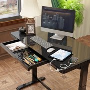FLEXISPOT 48 Electric Standing Desk with Drawer Desktop & Adjustable Frame Quick Install w/USB Charge 3 Ports Child lock, Black