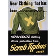 thumbnail image 3 of United States War Department 14x18 Black Modern Framed Museum Art Print Titled - Scrub Typhus Fever (1945), 3 of 5