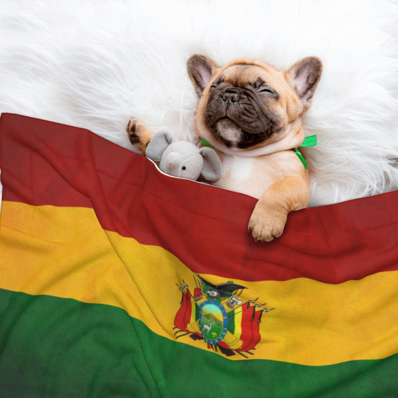 Vintage Bolivian Flag Dog Blanket Soft Warm Flannel Cat Blanket Great Pet Throw for Cats Puppy Small Medium Large Dog