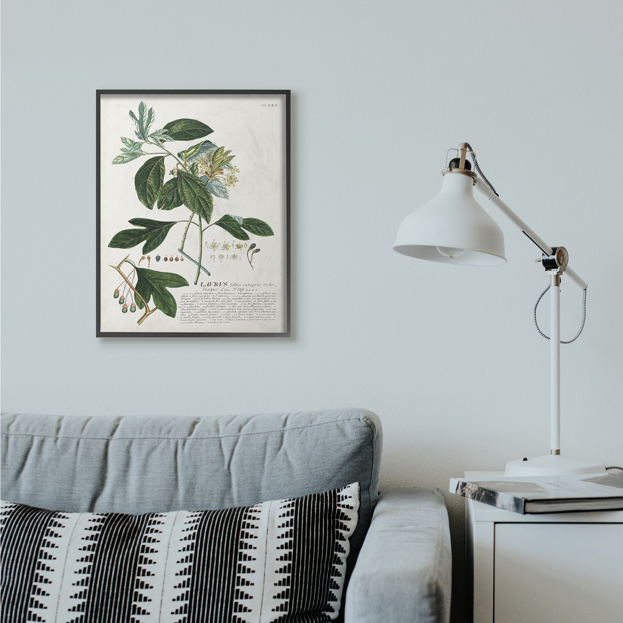Stupell Home Décor Industries Botanical Plant Illustration Green Leaves Vintage Design Framed Wall Art by Unknown