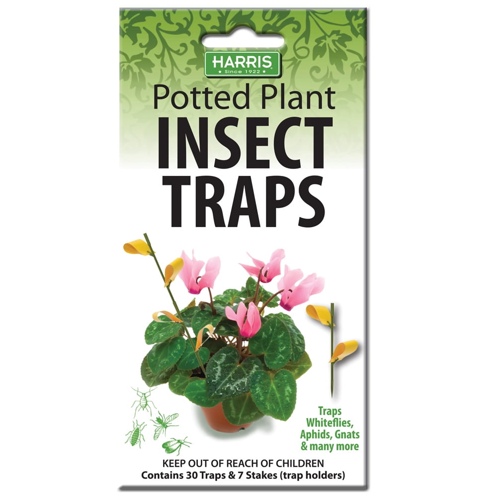 30Traps Whiteflies&More New Harris Potted Plant Insect Traps for Gnats Aphids 