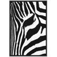 thumbnail image 3 of PixonSign Framed Canvas Print Wall Art Graphic Zebra Print Animals Wildlife Digital Art Modern Art Glam Closeup Dramatic Ultra Black and White for Living Room, Bedroom, Office - 16"x24" Black, 3 of 5