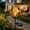 Black, variant on AuroraX Solar Lights Outdoor Waterproof Ulalaza Inground Decorative Pathway Solar Lights Stakes Walkway 17*29inch Summer Decoration for Home Yard Front Door Patio