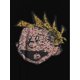 thumbnail image 2 of Camiseta informal de cuello redondo para mujer con estampado de cara de niño, moderna camiseta de algodón de manga corta, cómoda para verano., 2 of 6