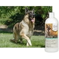 thumbnail image 2 of UltraCruz® Canine Shampoo Plus for Dogs, 32 oz, 2 of 4