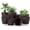 Brown, variant on Plant Pots Indoor with Drainage - 7/6.6/6/5.3/4.8 Inch Flower Planters for Indoor Plants, Succulents, Cactus - Pack of 5 Plastic Home Decor Planters, Mint Color