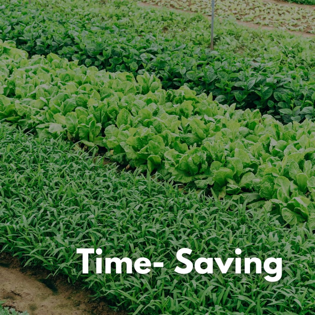Dripworks Drip Tape Irrigation Kit for Watering Row Crops in Farms - Waters Up to 10 20' Rows | Agricultural Grade Components | Trusted Brand since 1991