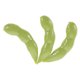 thumbnail image 5 of WEUVEB 3Ud Calcomanía Verde Edamame Para Exterior Plástica Fácil Instalación, 5 of 7