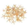 thumbnail image 2 of Conchas De Estrella De Mar Naturales, Exhibición De Boda, Decoración Artesanal Para Acuario, 2-3cm, 50 Uds. Sunnimix artesanías conchas marinas, 2 of 8