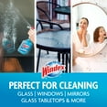 thumbnail image 3 of Windex® Glass Window Cleaner, Original Blue, Spray Bottle, 23 fl oz, 3 of 16