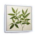 thumbnail image 2 of Designart "Foliage Outlined In Olive Minimalism Leaves II" Leaves Floater Framed Wall Art Living Room, 2 of 5