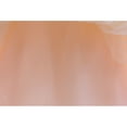 thumbnail image 2 of LOEL Girls Rainbow Tulle Dress Princess Puffy Dress Wedding Pageant Party Easter Ball Gown Flower Girls Dress, 2 of 9