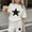 White, variant on ITSAME Girls Outfits 2-Piece, Crewneck T-Shirts and Shorts Star Print Summer Loose Casual Clothes Set Beige Size 10