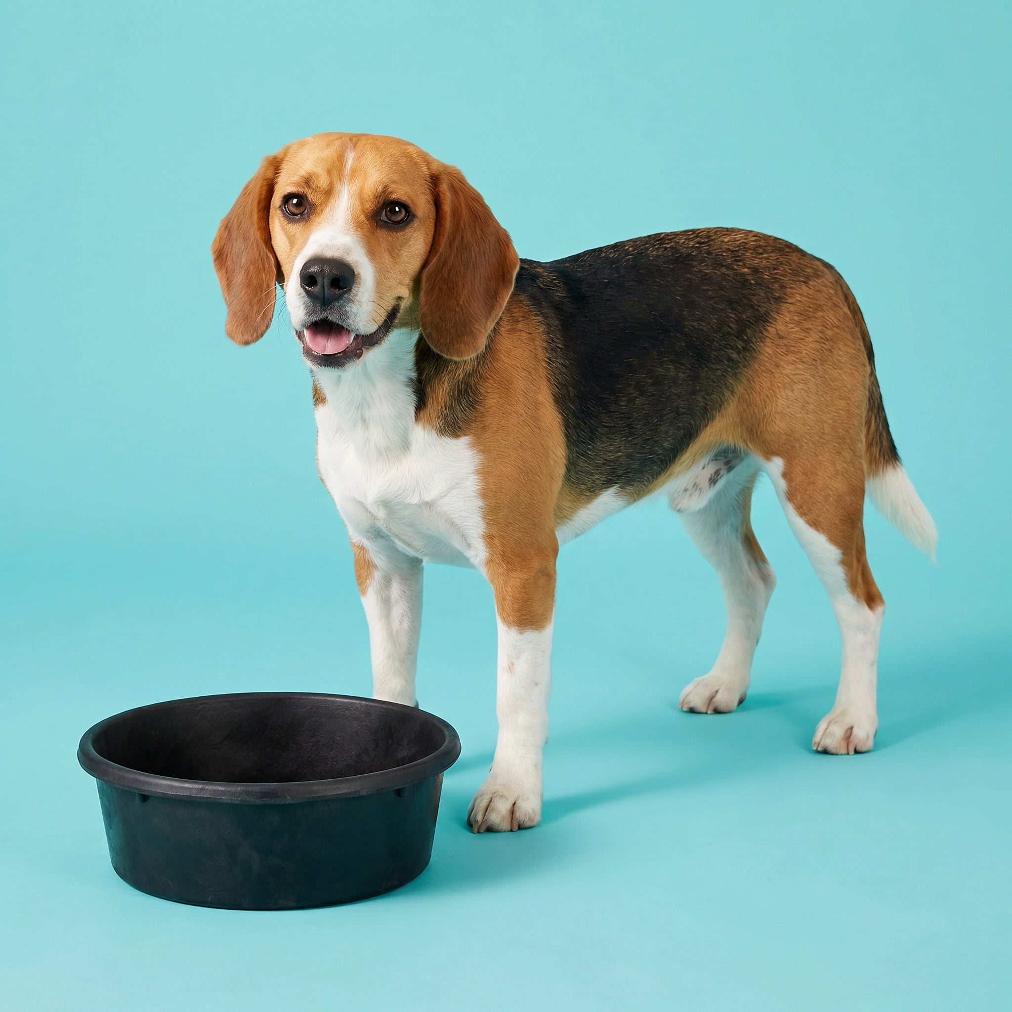 (2 pack) Vibrant Life Extra Large 3-Quart Rubber Feeding Pan, Black