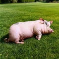 thumbnail image 4 of Giant Simulated 3D Pig Plush Pillow Lifelike Soft Pig Stuffed Animal Cute Cushion Room Decor Gift, 4 of 7