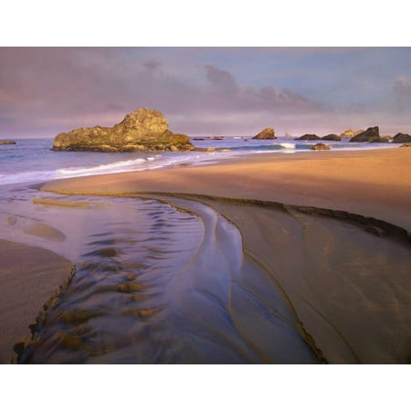 Creek flowing into ocean at Harris Beach State Park Oregon Poster Print by Tim Fitzharris (22 x