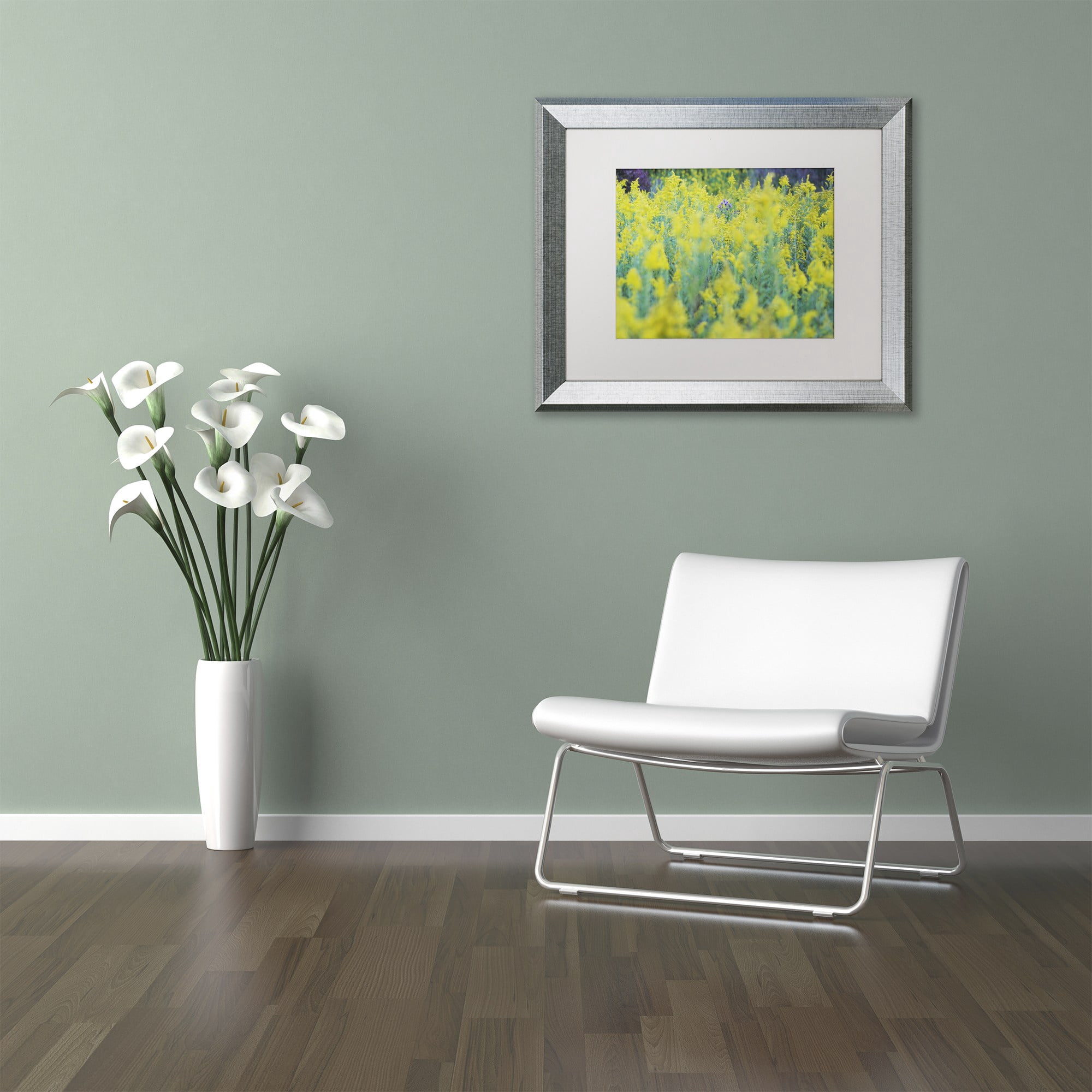 Trademark Fine Art "A Touch of Purple" Canvas Art by Kurt Shaffer, White Matte, Silver Frame