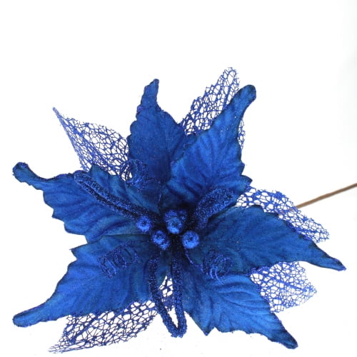 Royal Blue Poinsettia