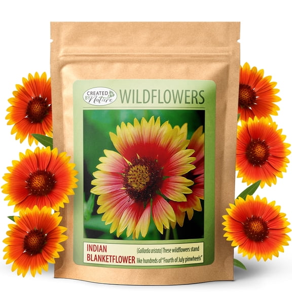 Created By Nature Indian Blanketflower Seeds, 5,640 Perennial Seeds