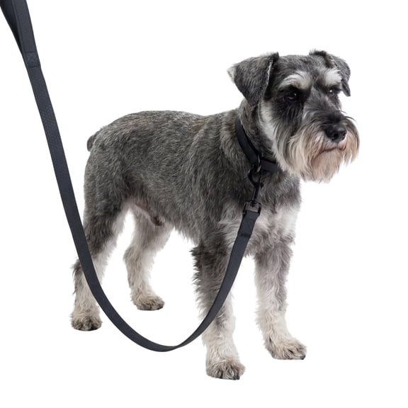 One Paw, Silicone Dog Leash with Honeycomb Pattern and Padded Handle, 6ft