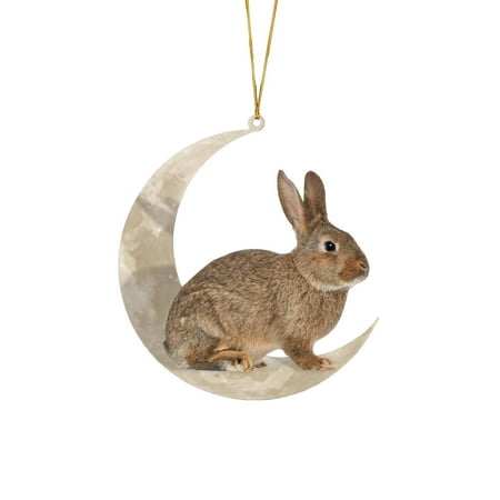 

XIUH Animals Sitting On The Moon Ornaments For Christmas Tree DoublePrinted Acrylic Hanging Pendant For Christmas Tree Decorations Window Wall Hanging Ornament Living Room Decoration Ho K