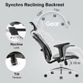 thumbnail image 5 of Silla de oficina SIHOO M57, reposabrazos ergonómicos de 3 posiciones, soporte lumbar, 5 of 5