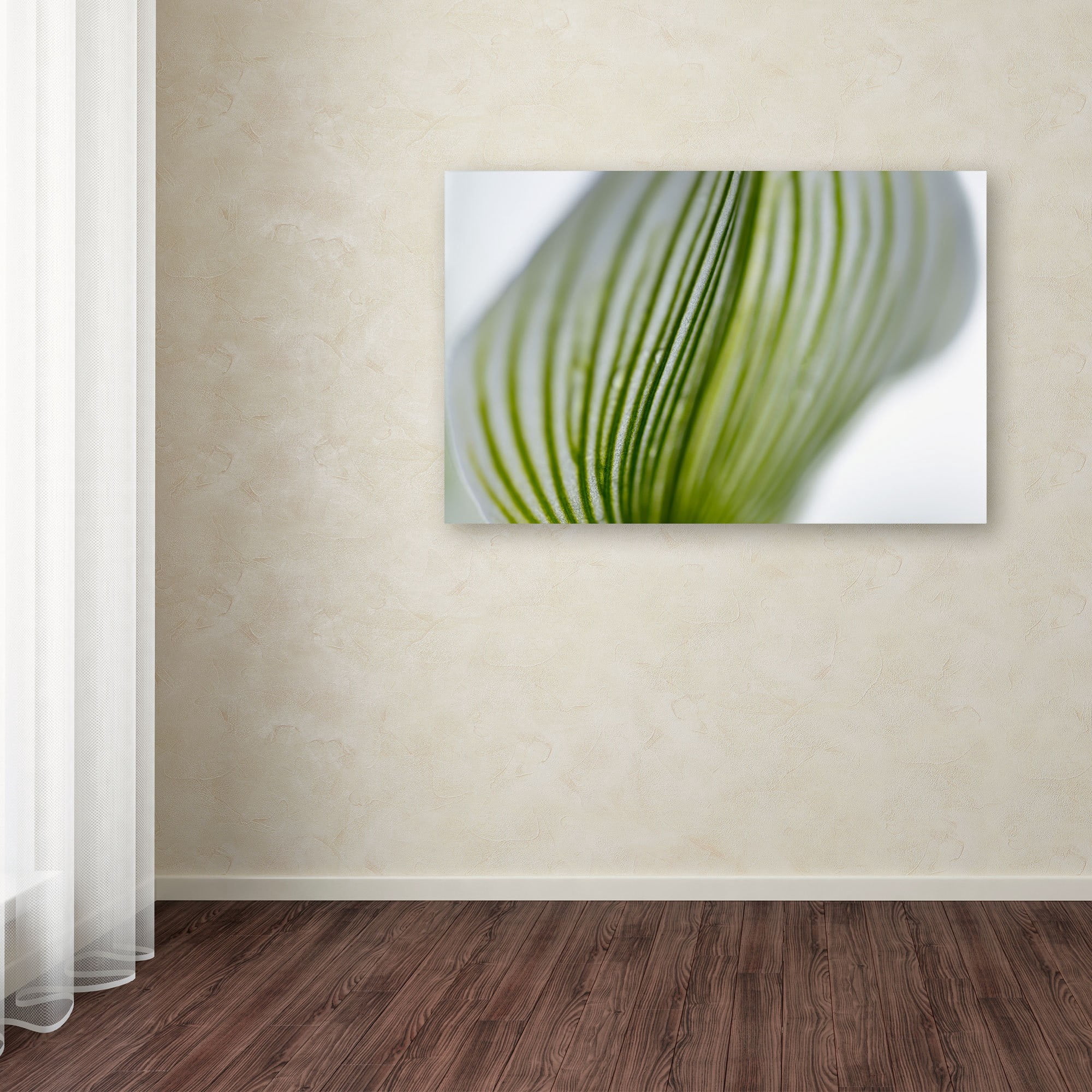 Trademark Fine Art "Orchid Abstract Blurred Lines" Canvas Art by Kurt Shaffer