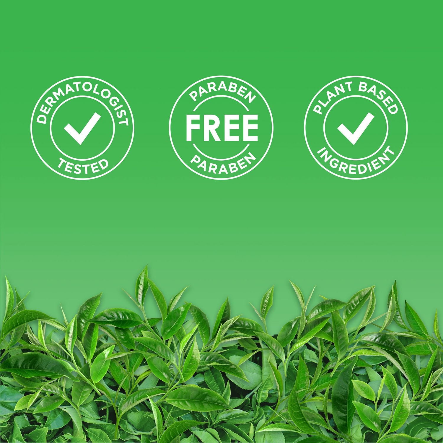 Nettoyant pour le visage St. Ives Thé vert 200 ml Nettoyant visage