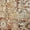 Ivory, variant on Nourison Petra Rust 2'3" x 10'2"Area Rug, Traditional, Persian, Easy Cleaning, Non Shedding, Bedroom, Living Room, Dining Room, Kitchen, (10' Runner)
