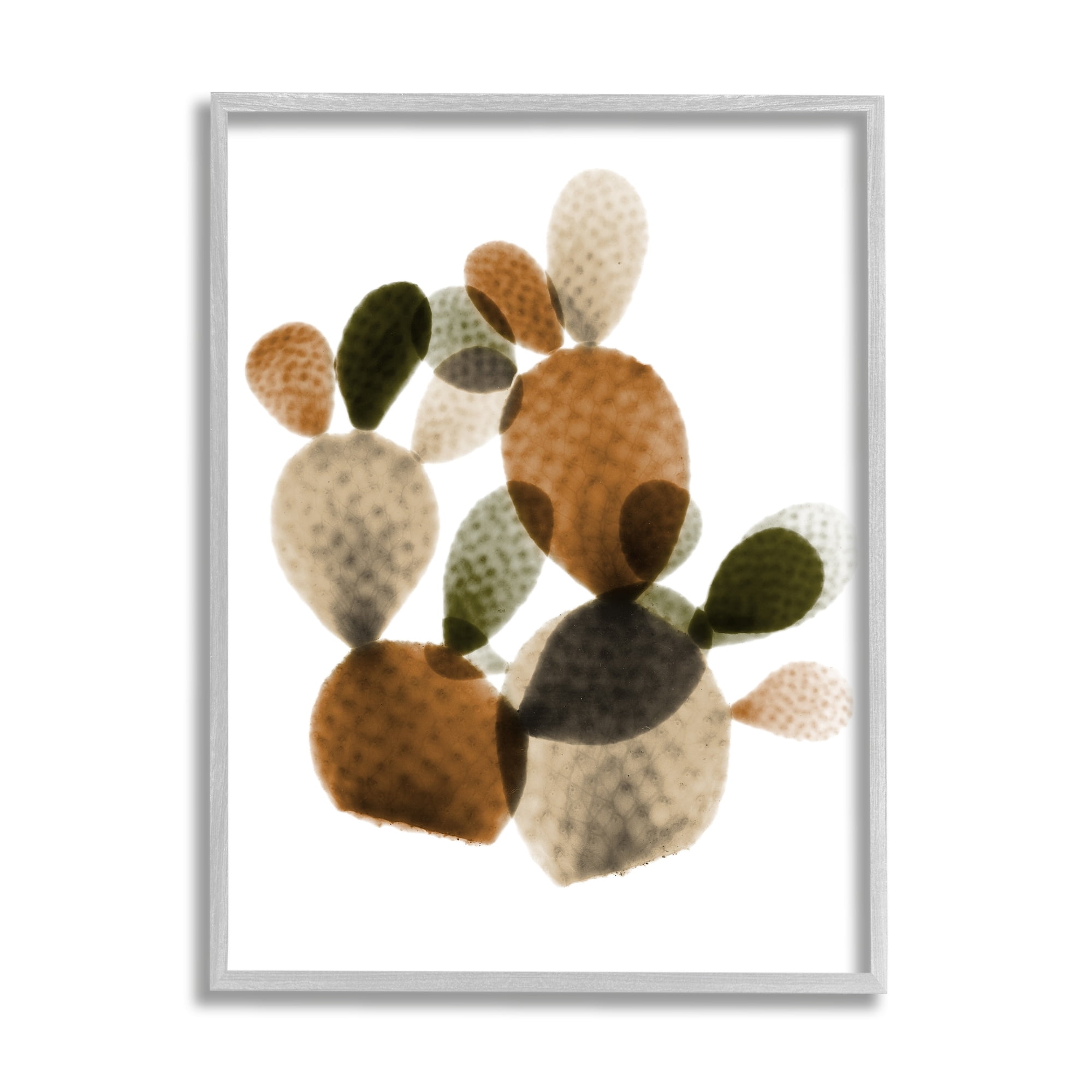 Stupell Industries Prickly Pear Cactus Plants Layered Green Brown Succulents, 11 x 14,Design by Albert Koetsier