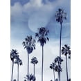 thumbnail image 2 of Davis, Devon 15x18 White Modern Wood Framed Museum Art Print Titled - Beach Palms Indigo I, 2 of 4