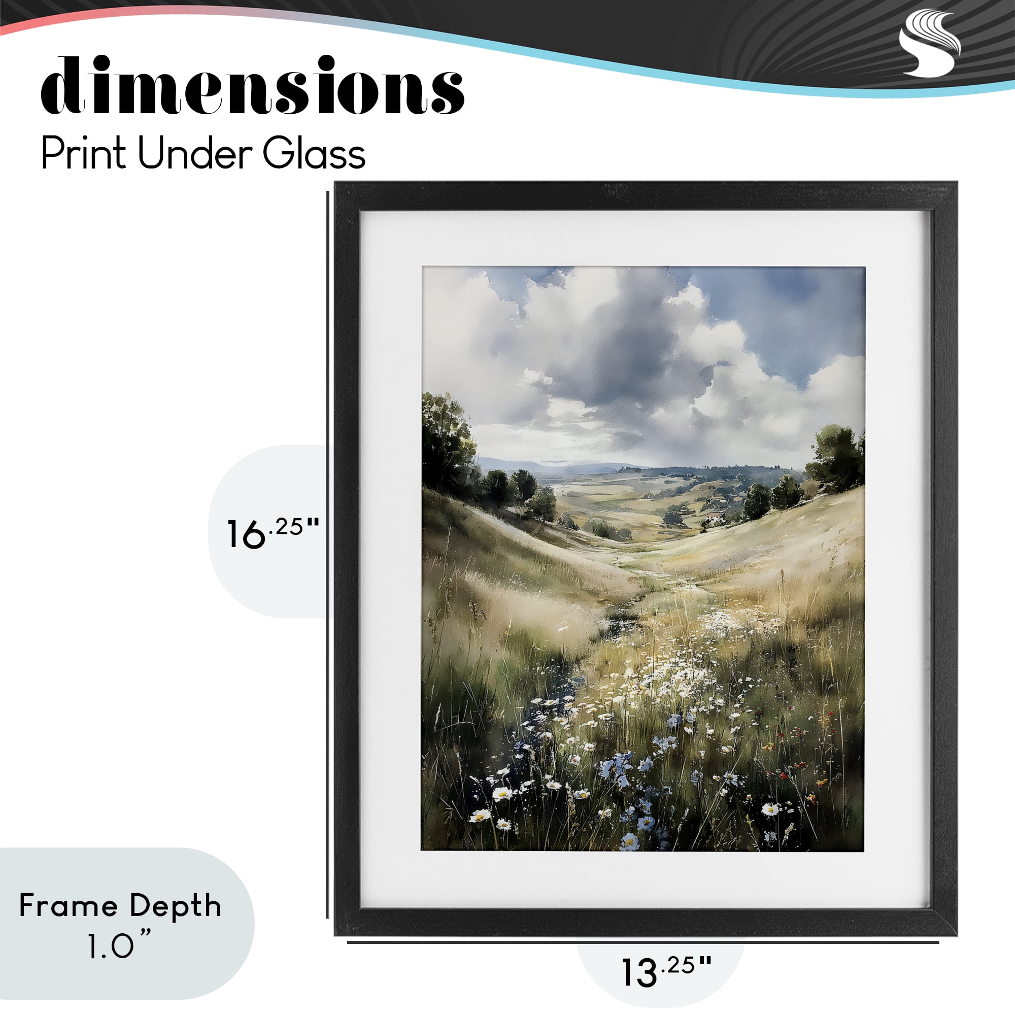 Stupell Industries Floral Valley of Wild Daisies Black Framed Print Under Glass, design by Franklyn Gregory