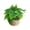 B, variant on Eolstice Artificial Potted Plants, Assorted Mini Faux Leaf Shrub In Straw Basket, Multi Style Small Tabletop Planter, For Indoor Shelf Desk Home Decorative Planter