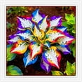 Assorted Shade Hostas Varieties for Planting-(Non-Artificial)-Easy to ...