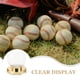 thumbnail image 3 of FUEENIRVA Estuche Para De Béisbol Con Base Para Almacenamiento Y Exhibición, 3 of 6